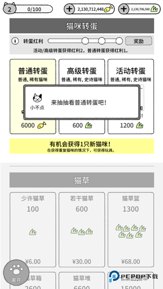 猫咪真的很可爱