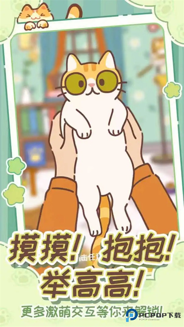 领养一只流浪猫