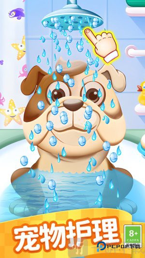 宠物美妆大师