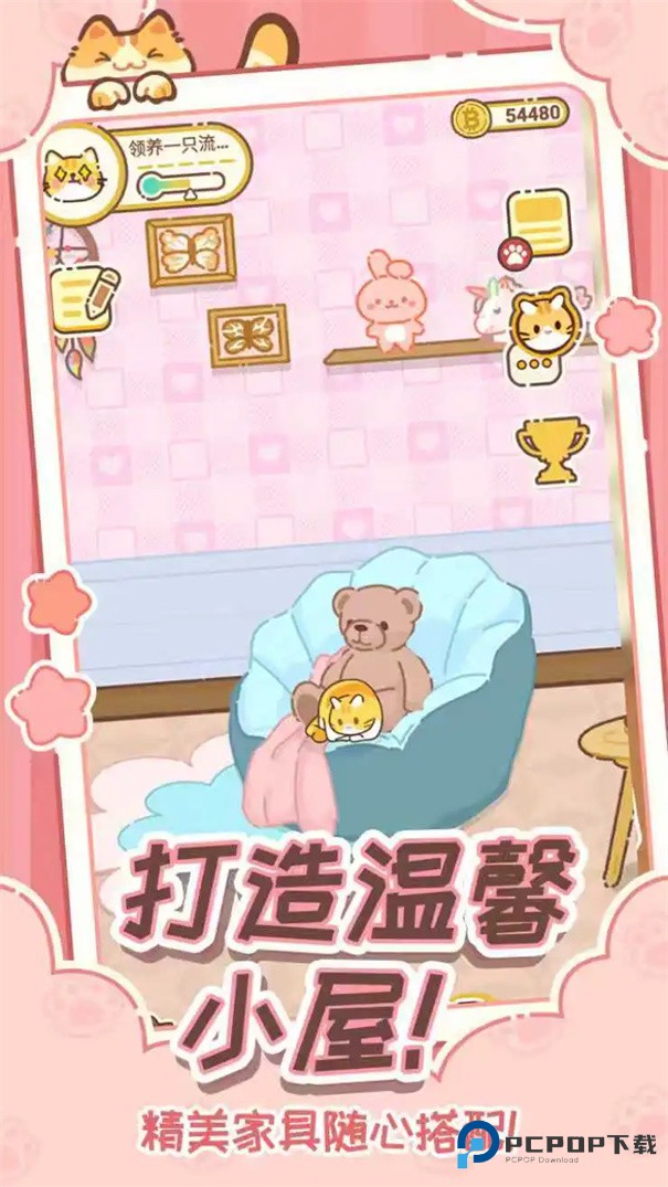 领养一只流浪猫