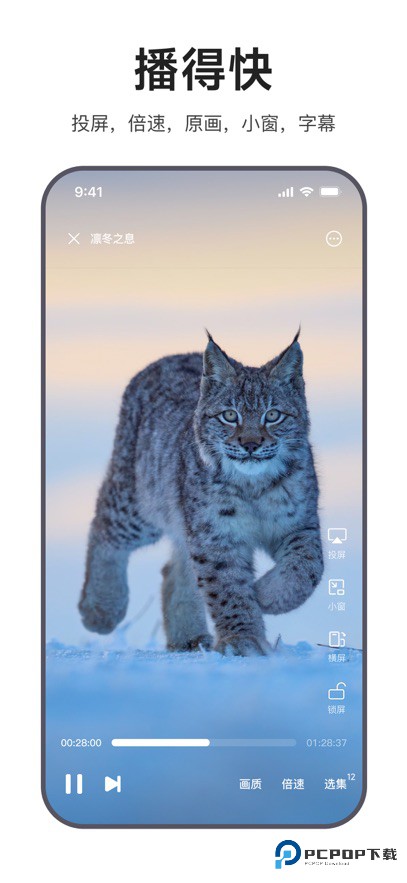 迅雷浏览器手机版