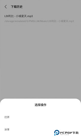 歌词适配最新版本