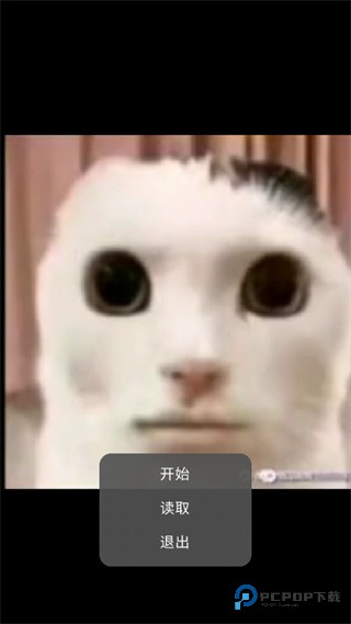 猫猫惊魂游戏玩法-1