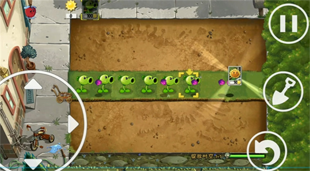 植物大战僵尸绽放时空