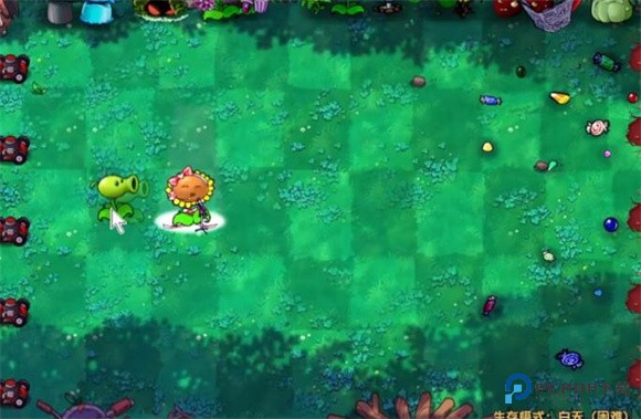 铜锣戏语植物大战僵尸无双版