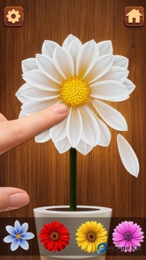 解压放松小玩具