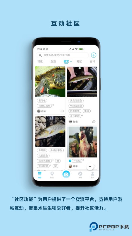 看鱼官方版2.7.0最新版