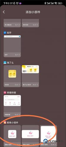 鲸鱼小组件免费版