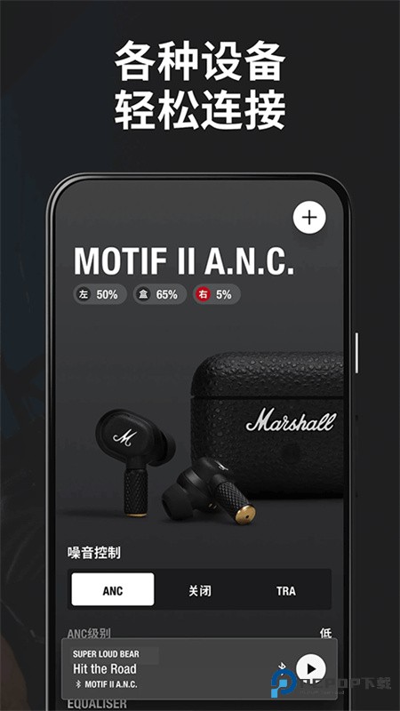 Marshall Bluetooth