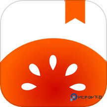 番茄小说手表适配版