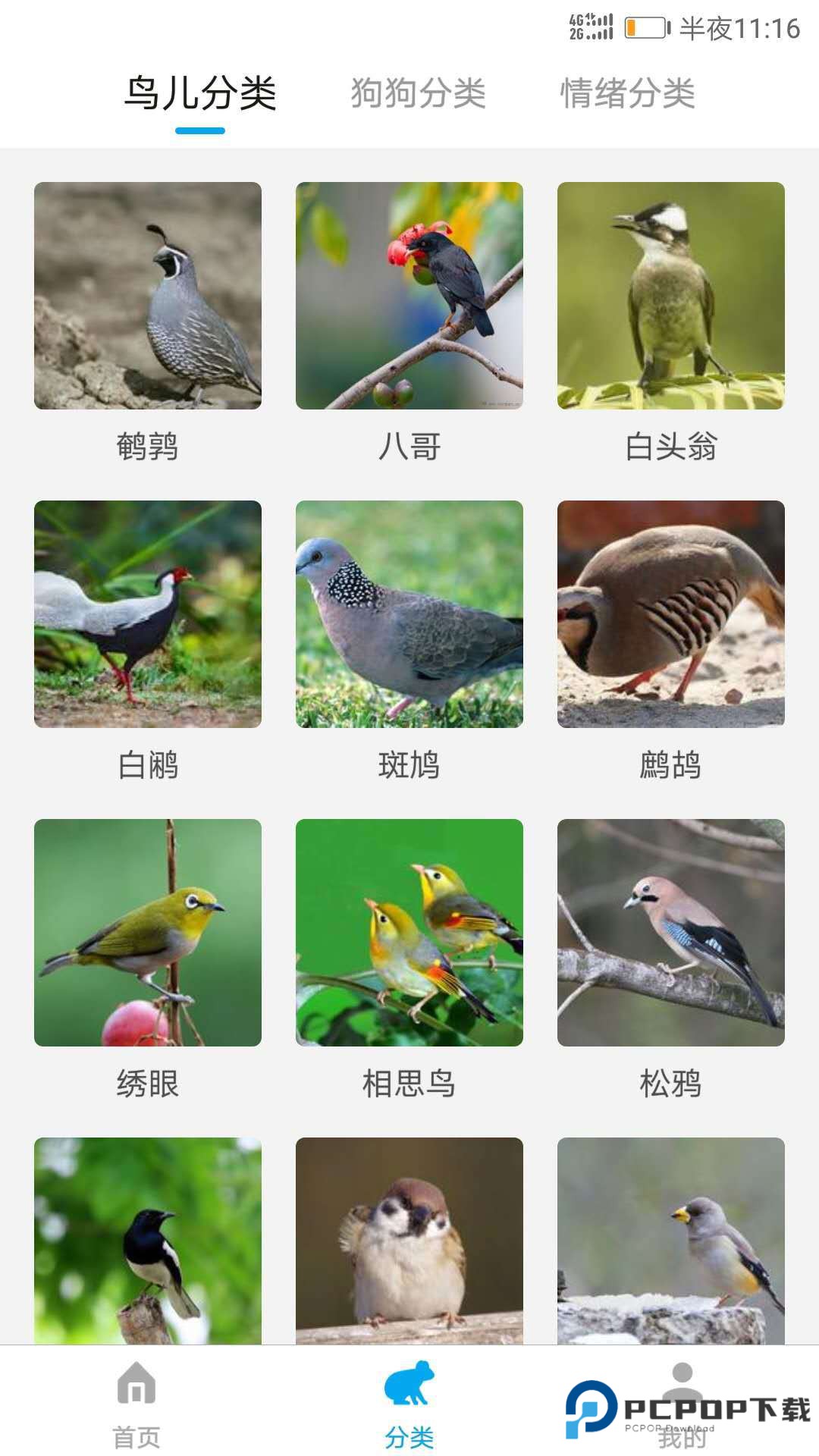 动物翻译器官方正版