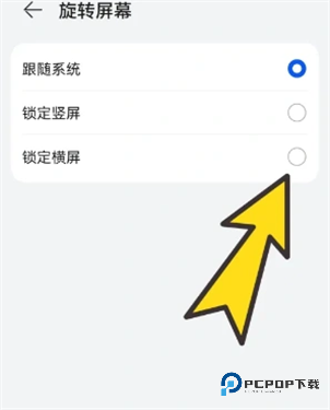 波波浏览器极速版v3.6.5