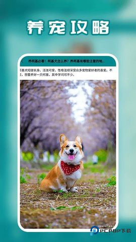 狗语免费最新版1.4最新版