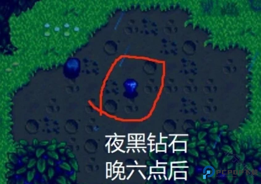 星露谷物语里奇赛德村