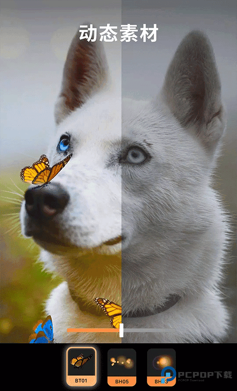 小狐狸剪辑正版app软件