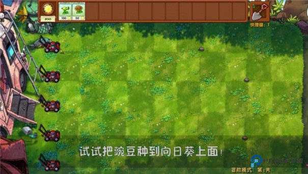 植物大战僵尸好感度版