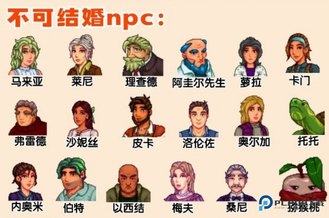 星露谷物语里奇赛德村