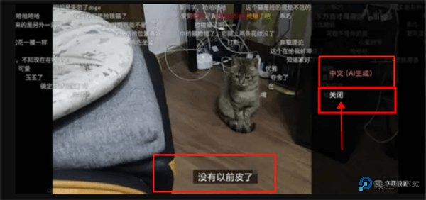 哔哩哔哩关闭智能字幕