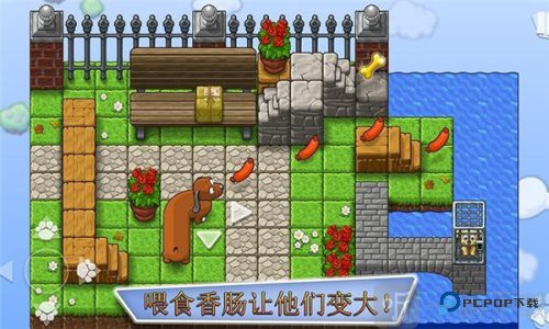 全家小狗救援队