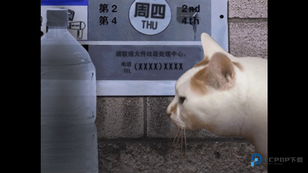 翌日猫之怪奇谭