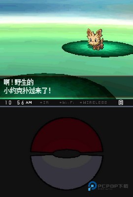 宝可梦黑白下载手机版2026新版免费下载