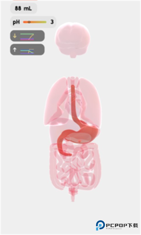 人体细胞模拟器