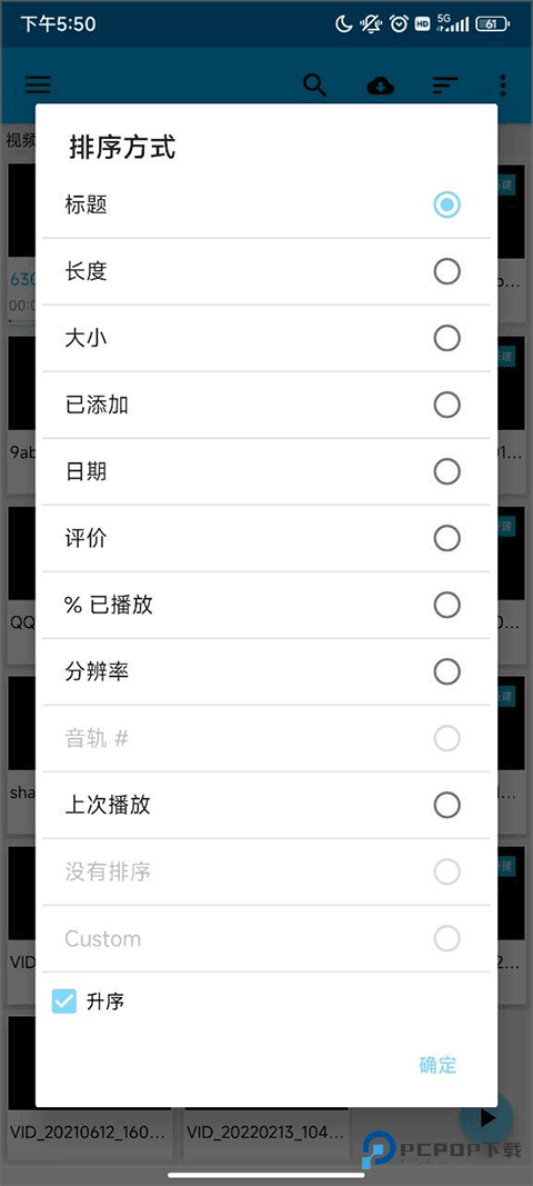 BSPlayer Pro软件使用方式-2