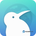 kiwi浏览器