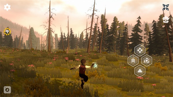 荒野沙丘荒原游戏玩法2