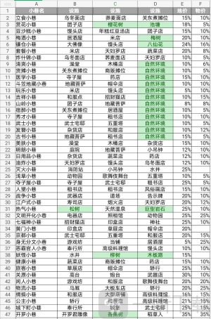 开罗大江户物语