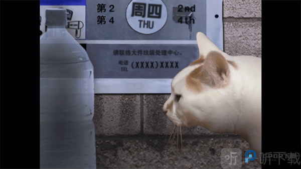 翌日猫之怪奇谭