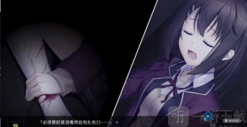 我和她的世界末日正版