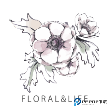 花田小憩2026升级版