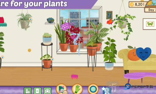 植物疗愈纽约时光