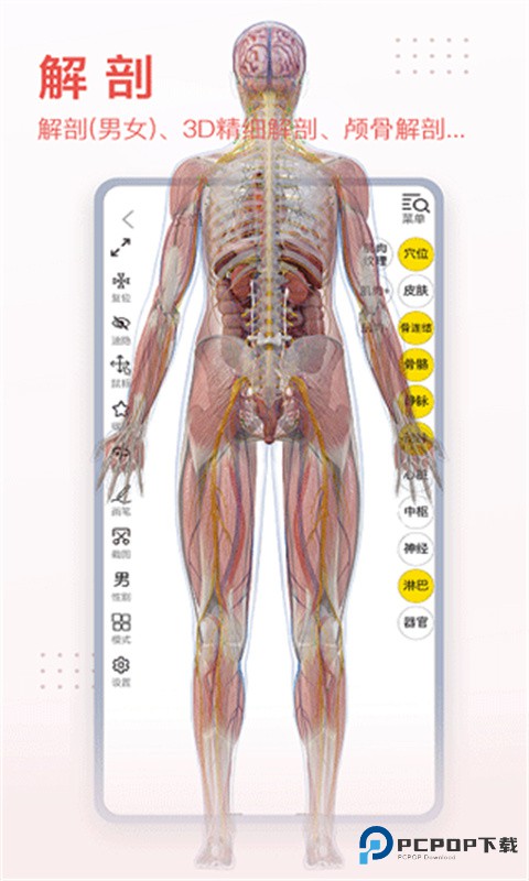 3dbody解剖