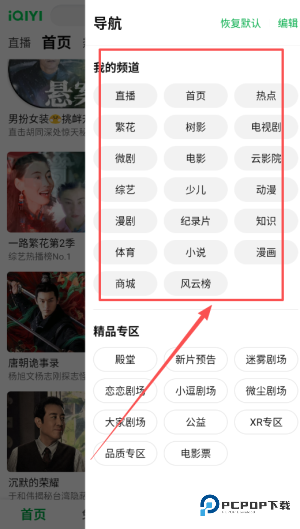 爱奇艺视频播放器