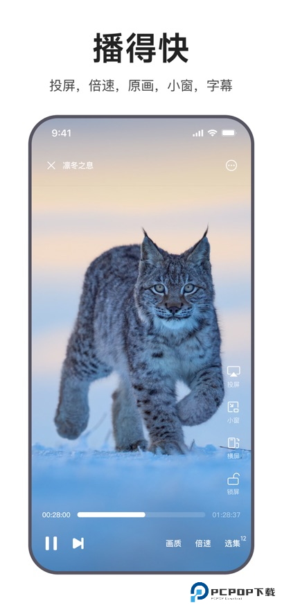 迅雷浏览器手机版