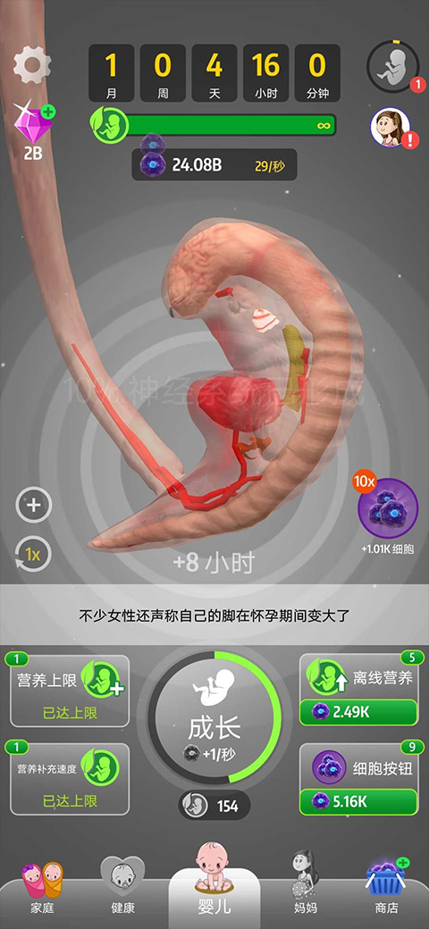 人类进化史小游戏