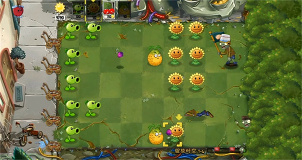 植物大战僵尸绽放时空