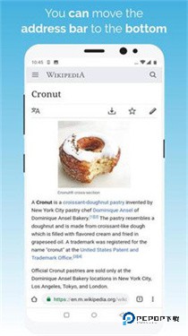 Kiwi浏览器新版本