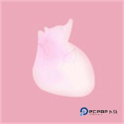 人体细胞模拟器