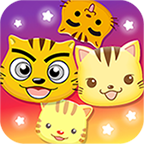 星猫广场2026升级版