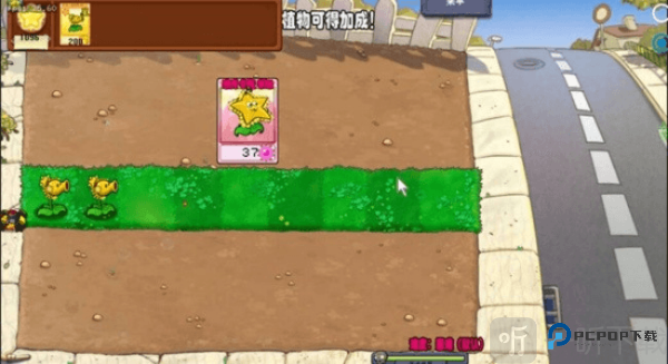 植物大战僵尸杨桃版