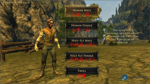 阿瓦隆炉之火游戏新手指南1