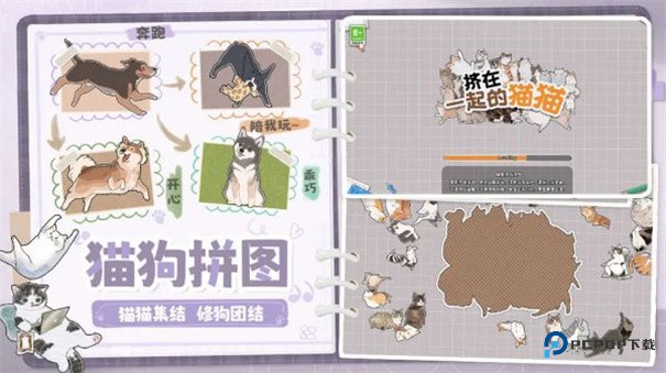 挤在一起的猫猫