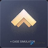 对峙2开箱模拟器中文版