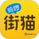 哈啰街猫