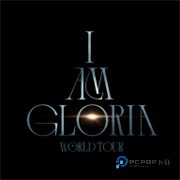 邓紫棋应援棒软件