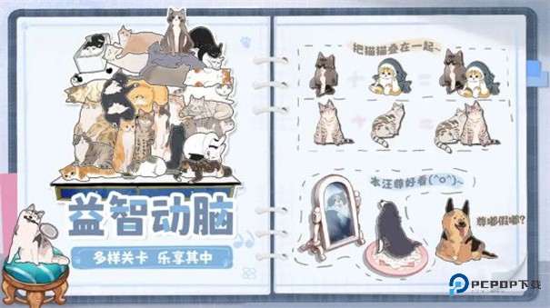 挤在一起的猫猫