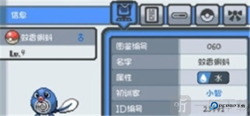 口袋妖怪格查尔